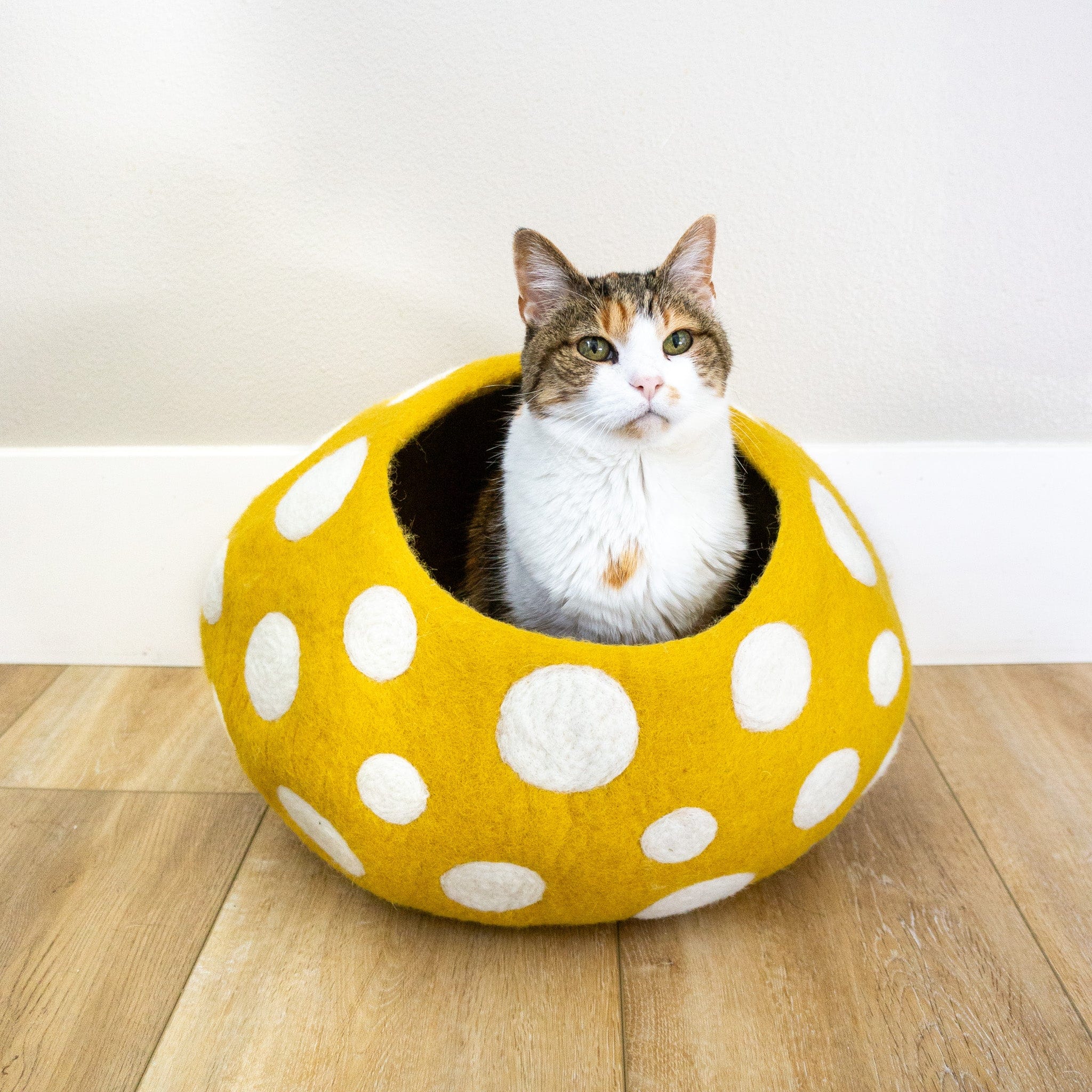 Gold Mushroom Eco Kitty Cave