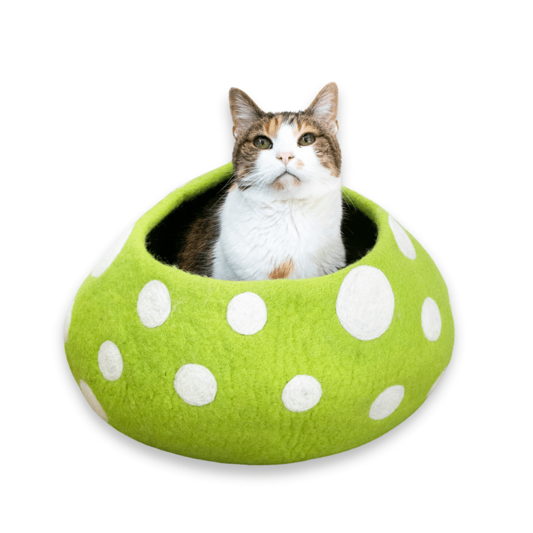Green Mushroom Eco Kitty Cave