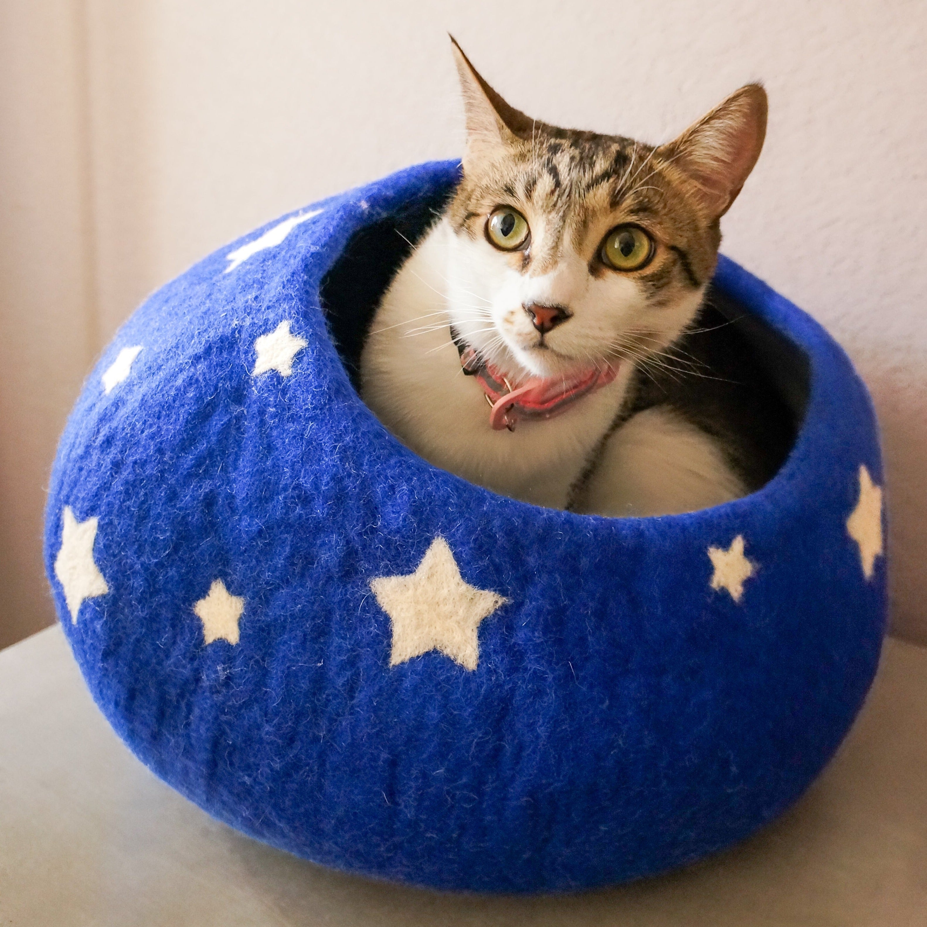 Midnight Stars Eco Kitty Cave