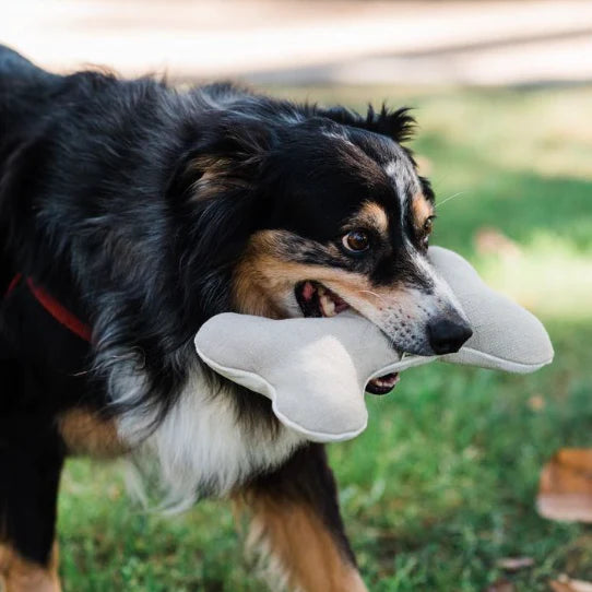 Hemp Dog Bone- Small, Medium, or Large