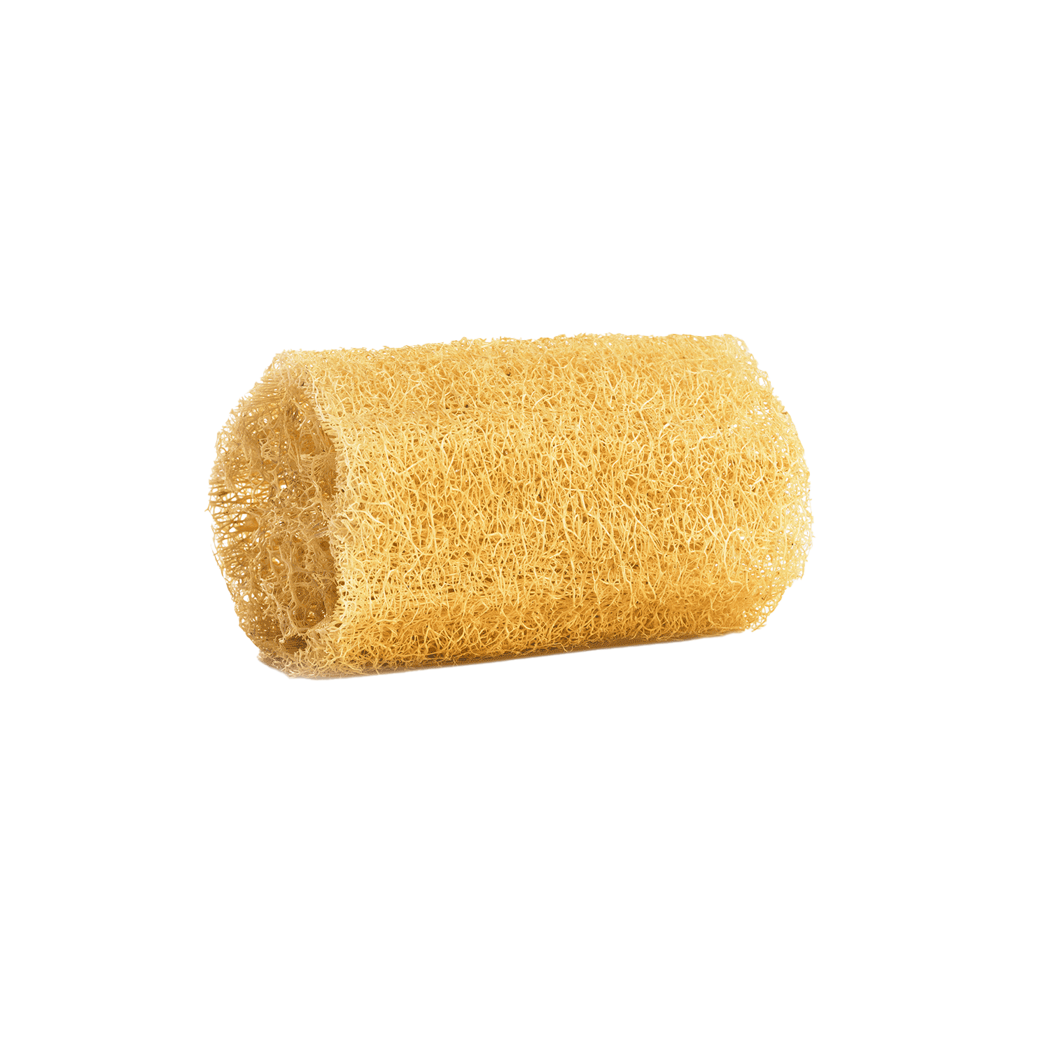 Loofah Sponge