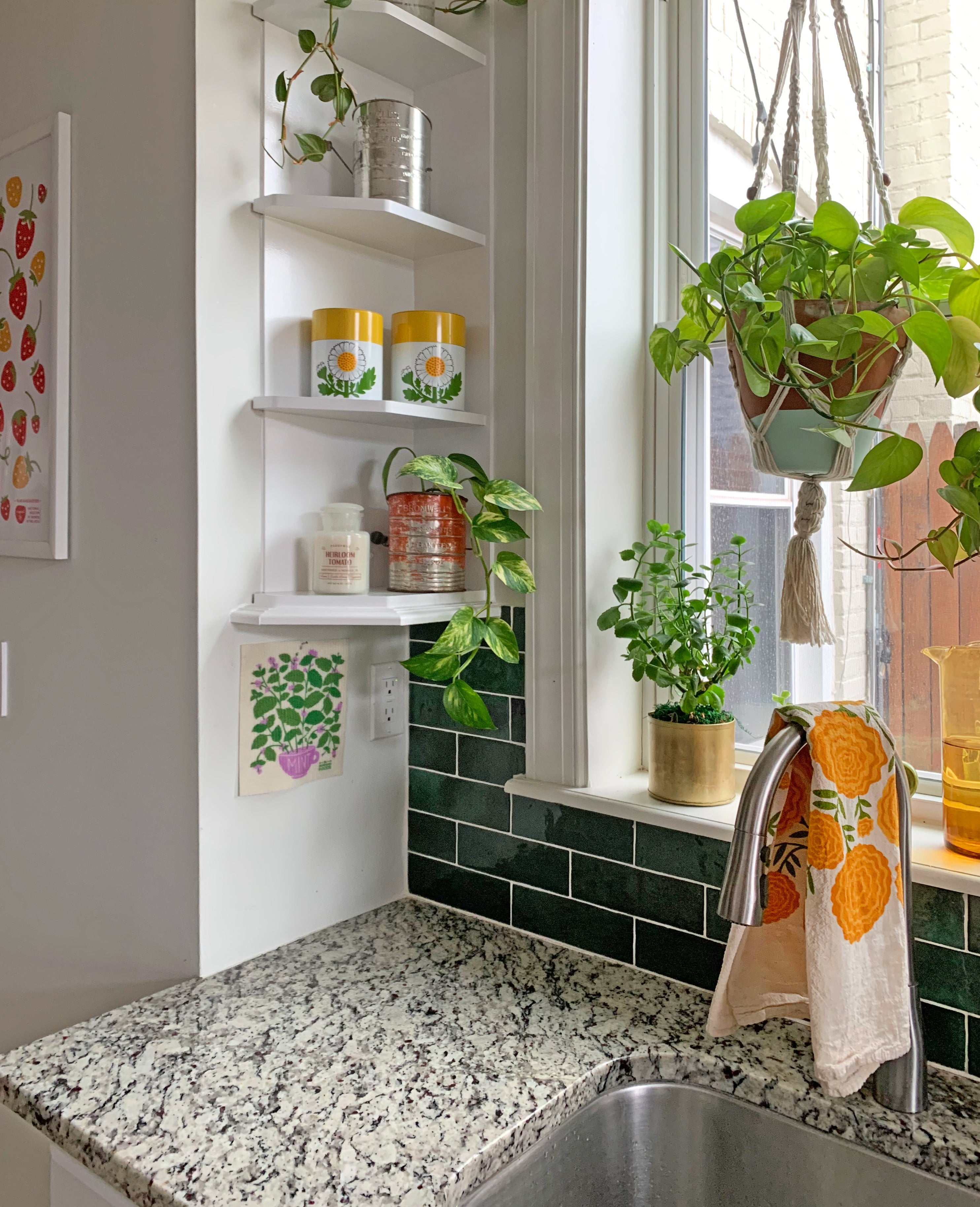 The Neighborgoods Fresh Herbs Sponge Cloth Set of 3