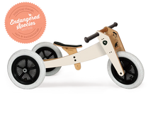 3-in-1 Toddler Tricycle