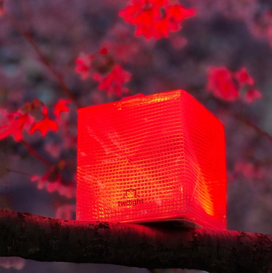 Mini Collapsible Solar-Powered Lantern