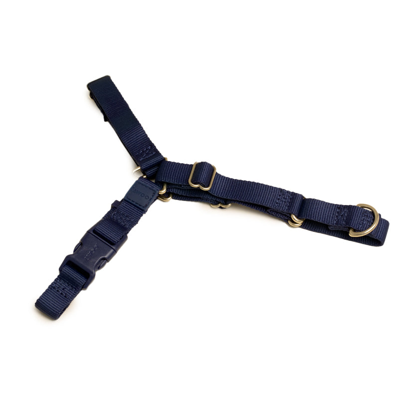 Roam Dog Harness