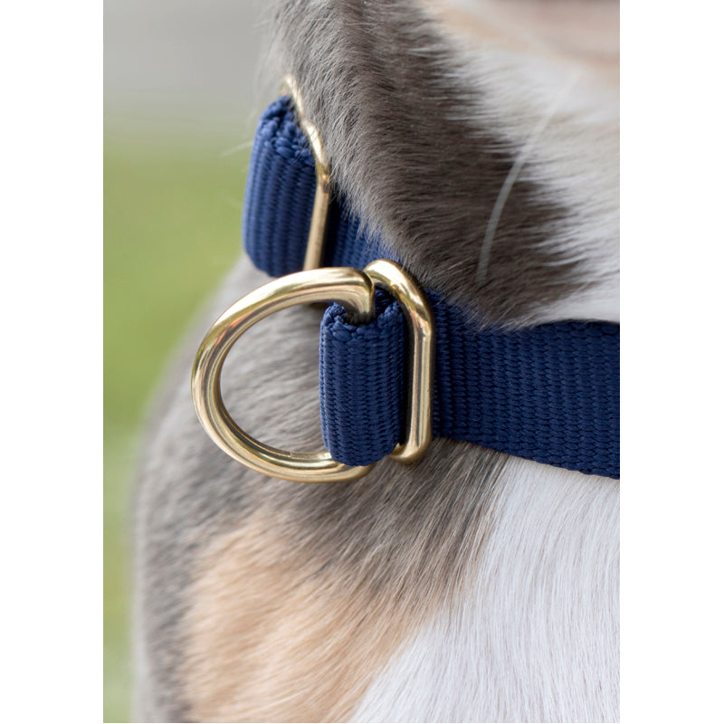 Pack Dog Collar