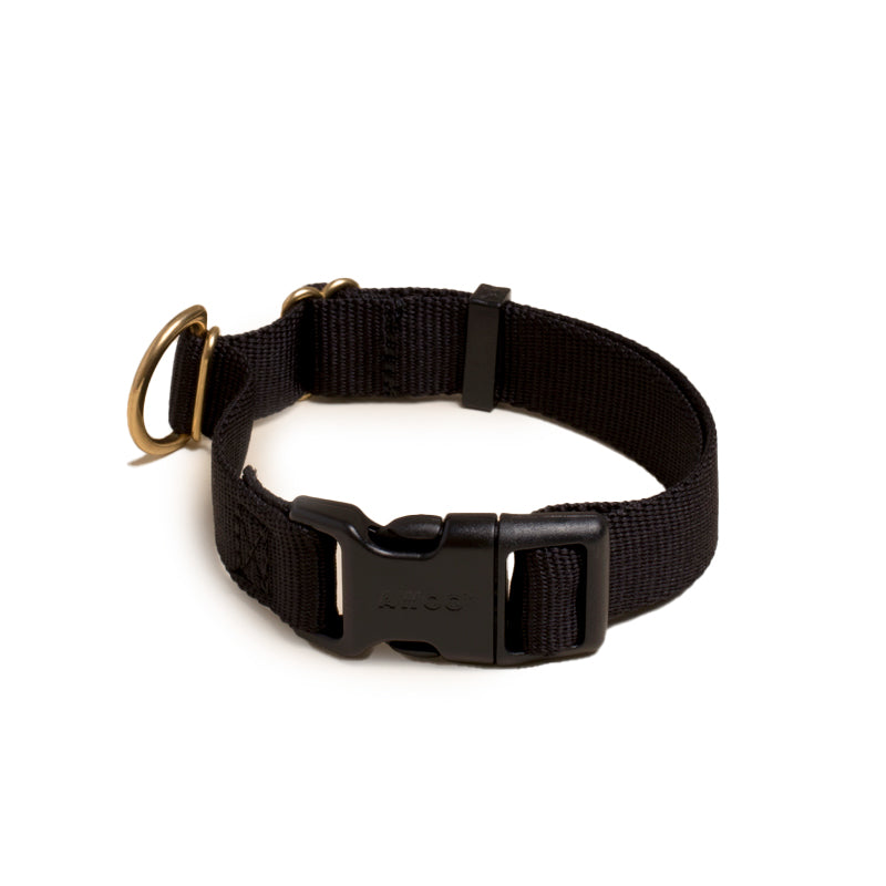 Pack Dog Collar