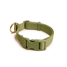 Pack Dog Collar