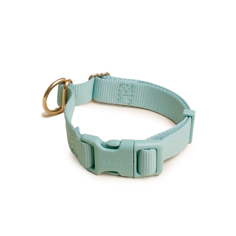 Pack Dog Collar