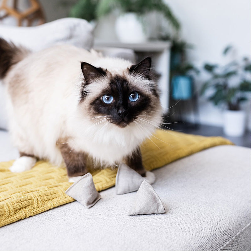 Hemp Pyramid Cat Toy