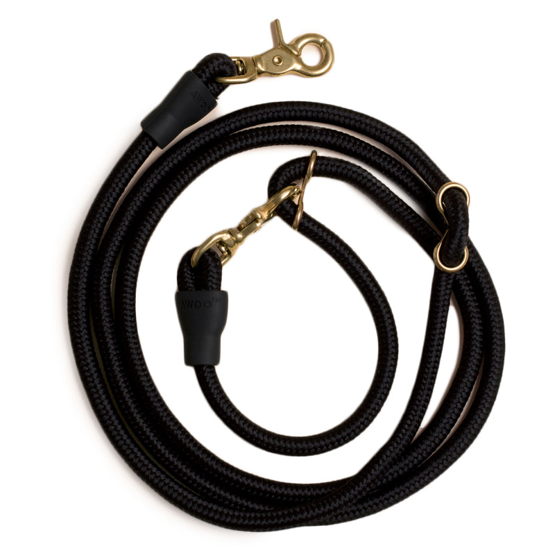 Infinity Dog Leash