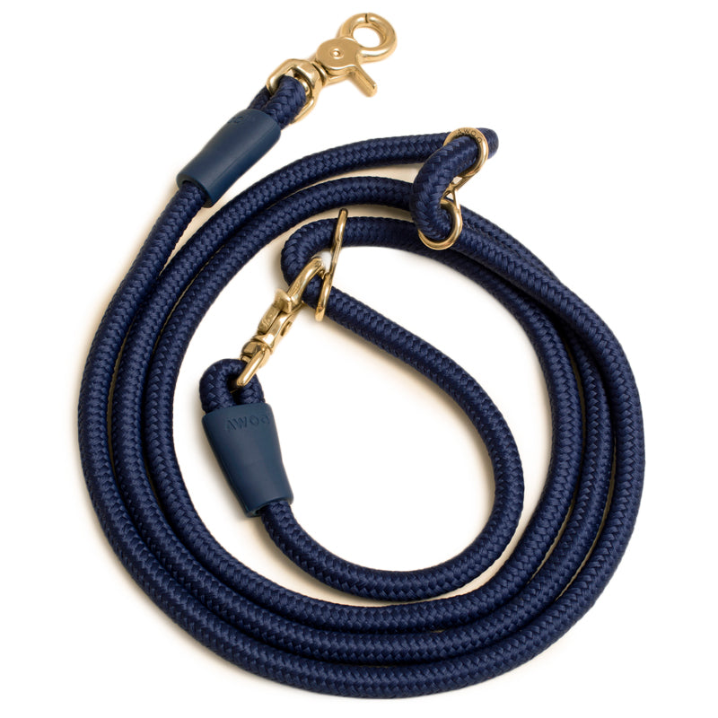 Infinity Dog Leash