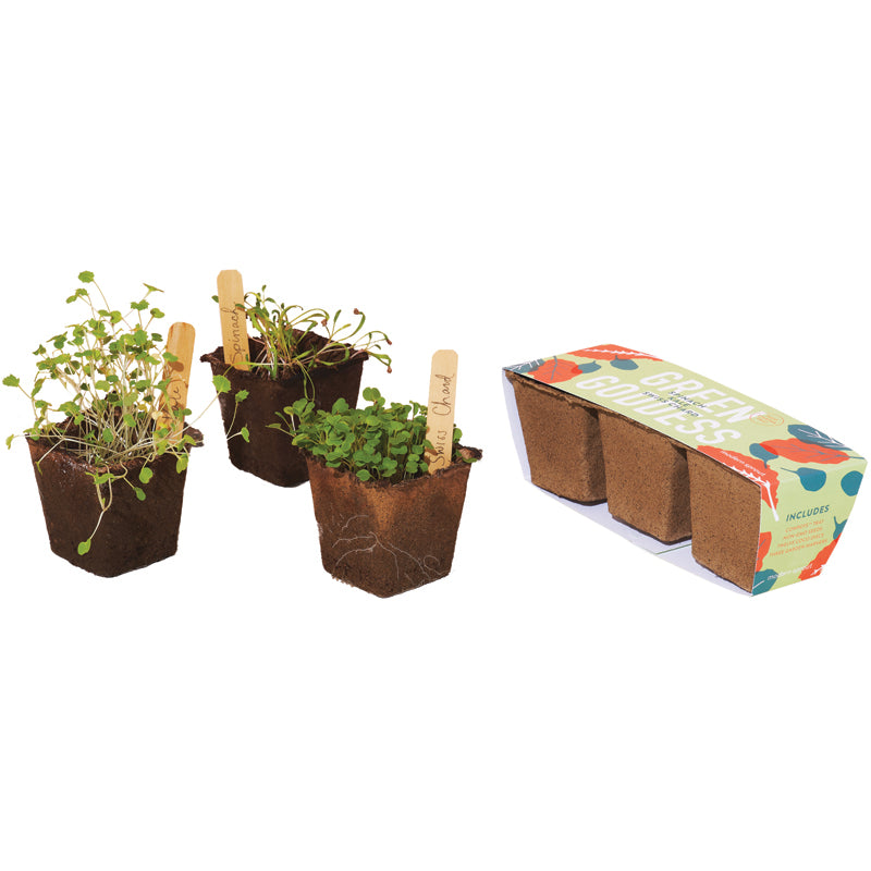 Ready-To-Grow Seed Starter Kit