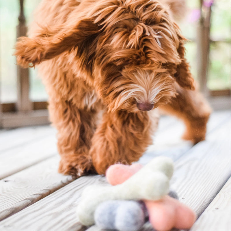 Handcrafted Felt Bone Dog Toy