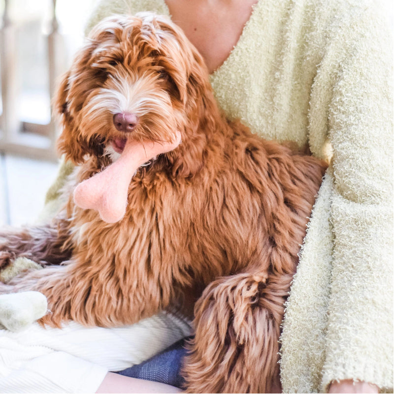 Handcrafted Felt Bone Dog Toy