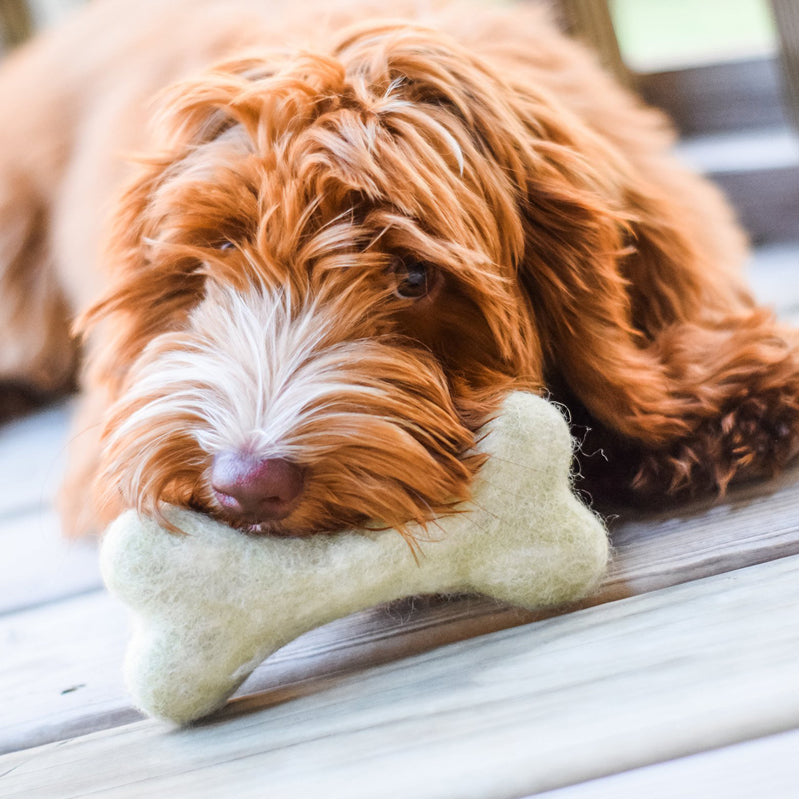 Handcrafted Felt Bone Dog Toy