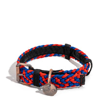 BetterCollar - 100% Fair Trade Recycled Ocean Bound Plastic Dog Collar