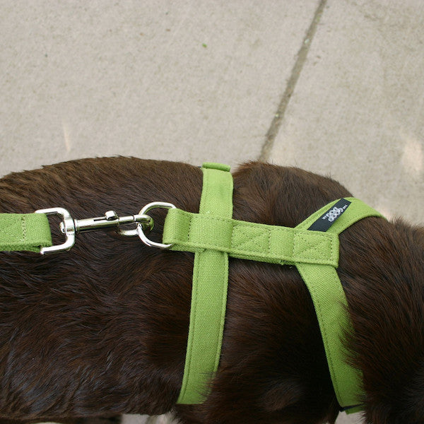 Basic Hemp Canvas Dog Harness