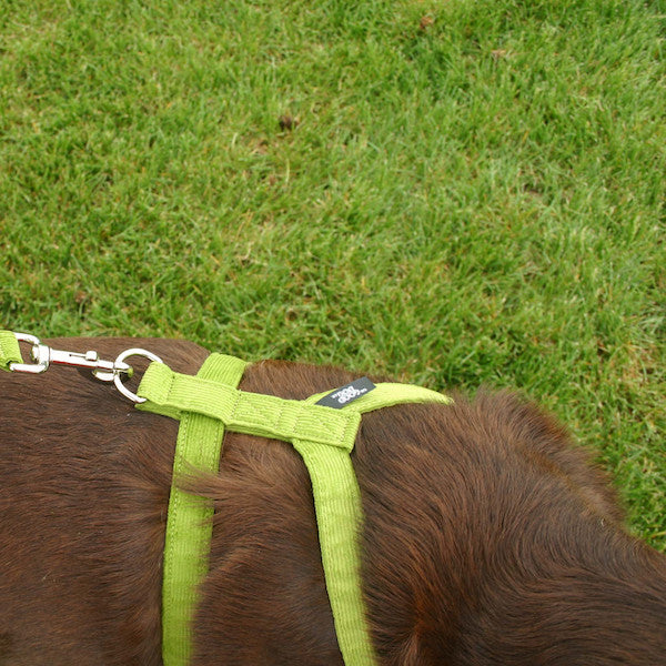 Hemp Corduroy Dog Harness
