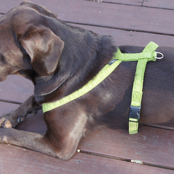 Hemp Corduroy Dog Harness