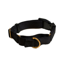 Marty Dog Collar