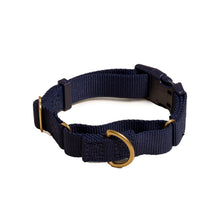 Marty Dog Collar