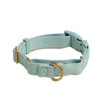 Marty Dog Collar