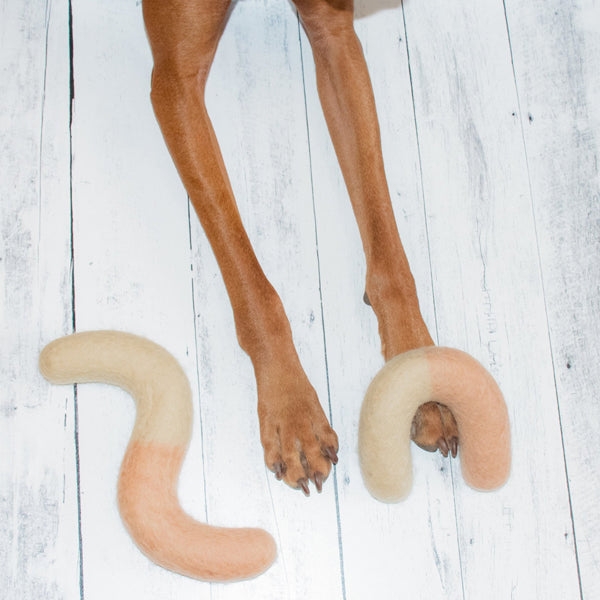 Noodle Felt Dog Toy