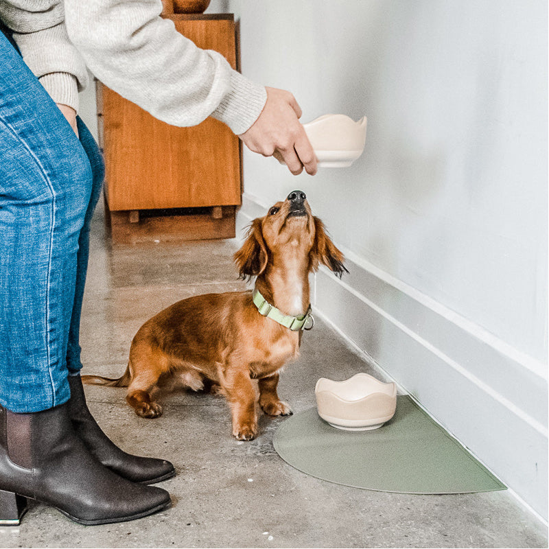 Silicone Splash Feeding Mat For Dogs