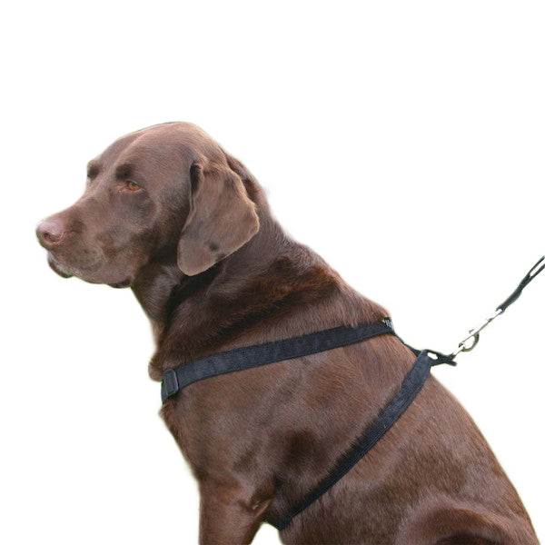 Hemp Corduroy Dog Harness