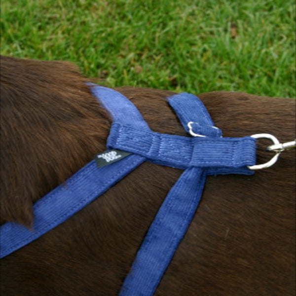 Hemp Corduroy Dog Harness