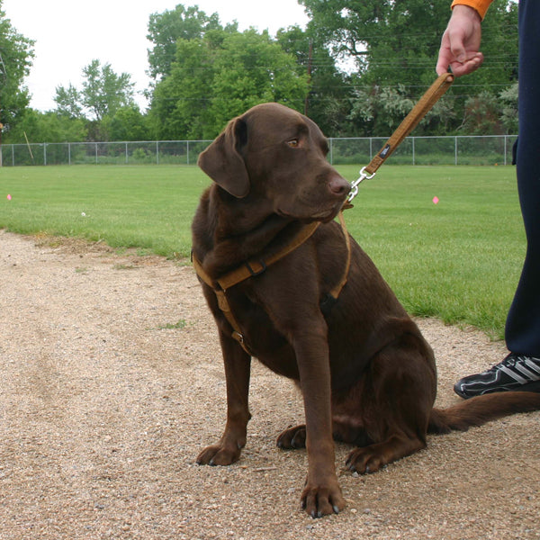 Hemp Corduroy Dog Harness