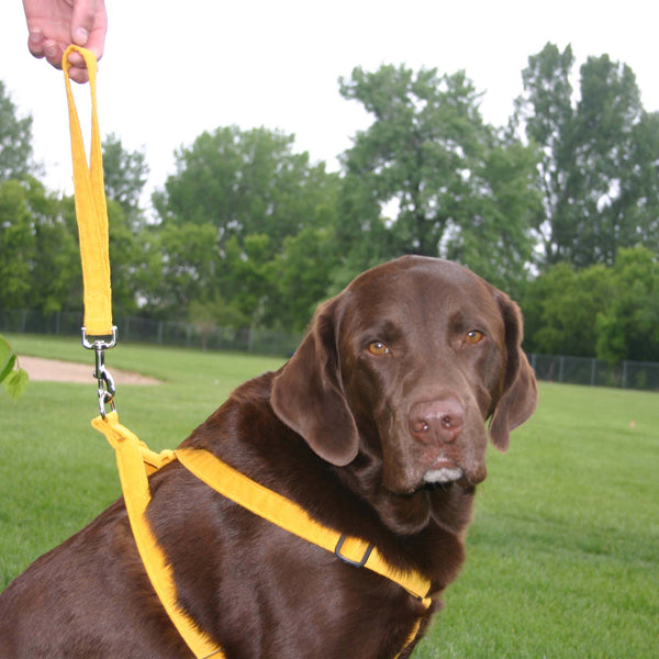 Hemp Corduroy Dog Harness