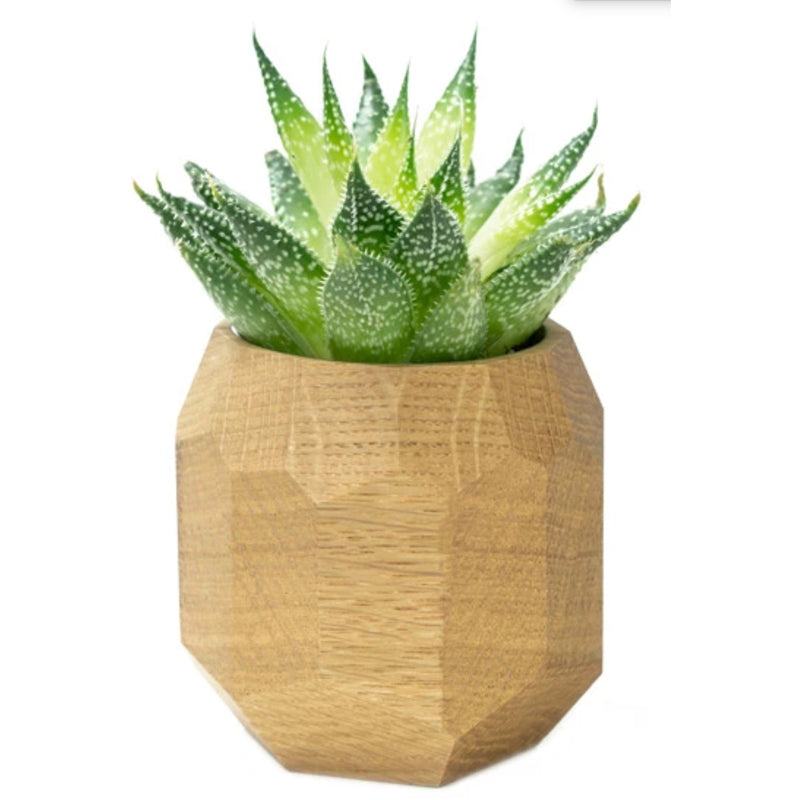 Oak Geometric Wooden Planter