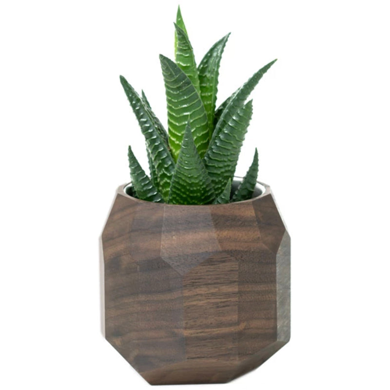 Walnut Geometric Wooden Planter