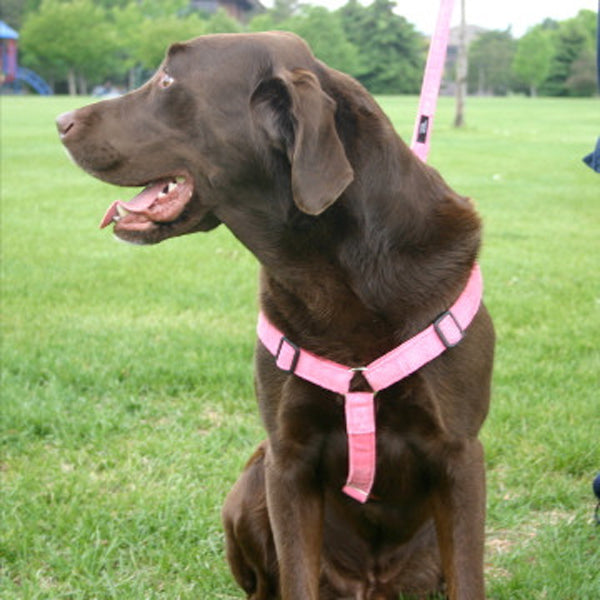 Hemp Corduroy Dog Harness