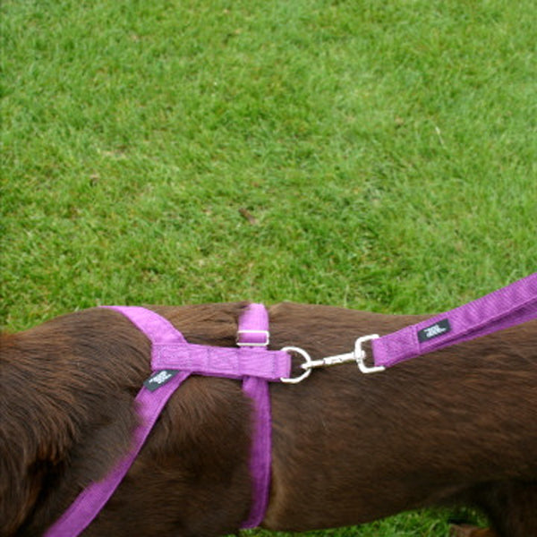 Hemp Corduroy Dog Harness