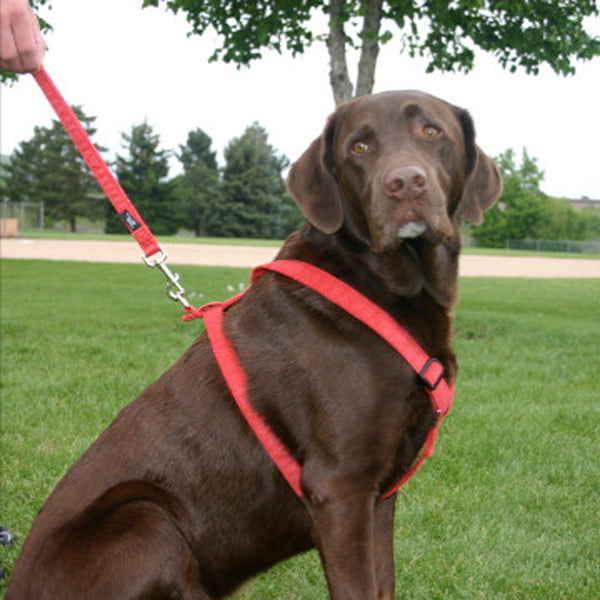 Hemp Corduroy Dog Harness