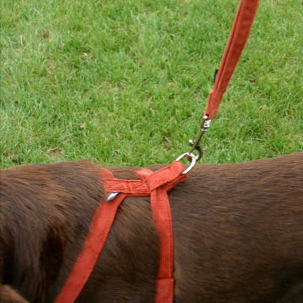 Hemp Corduroy Dog Harness