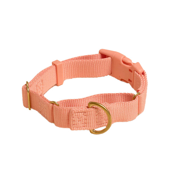 Marty Dog Collar