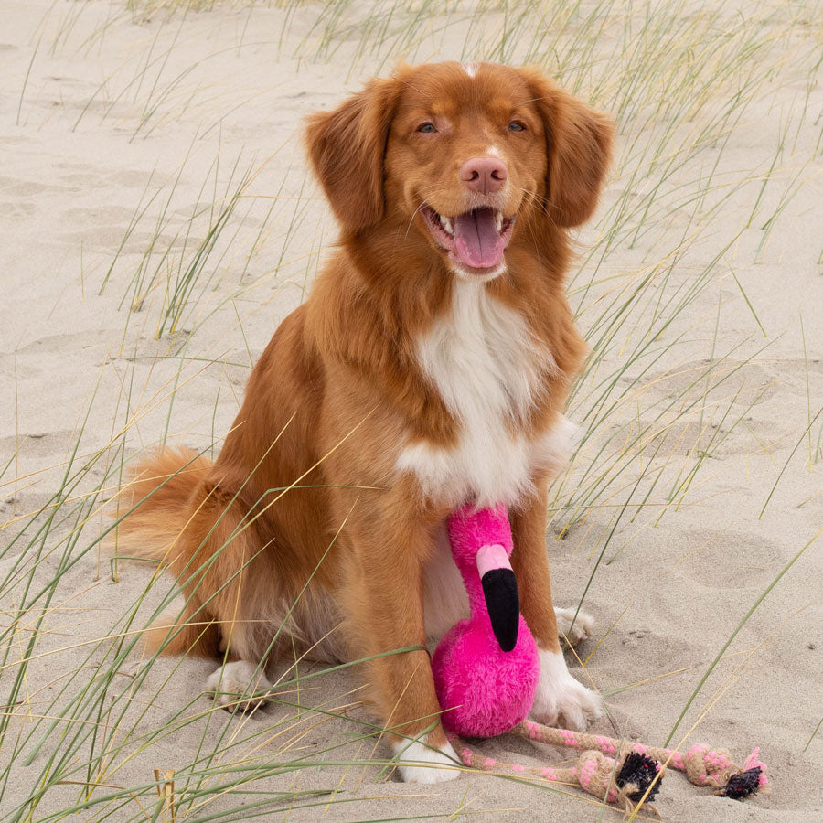 Flamingo Plush Rope Dog Toy