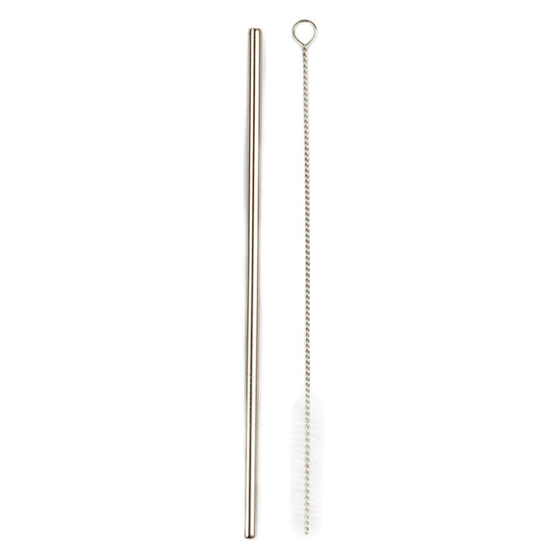 Stainless Steel Straw & Brush