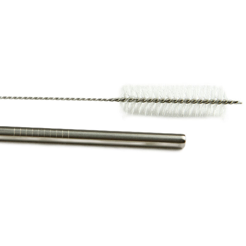 Stainless Steel Straw & Brush