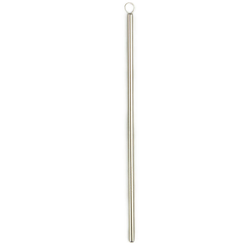 Stainless Steel Straw & Brush