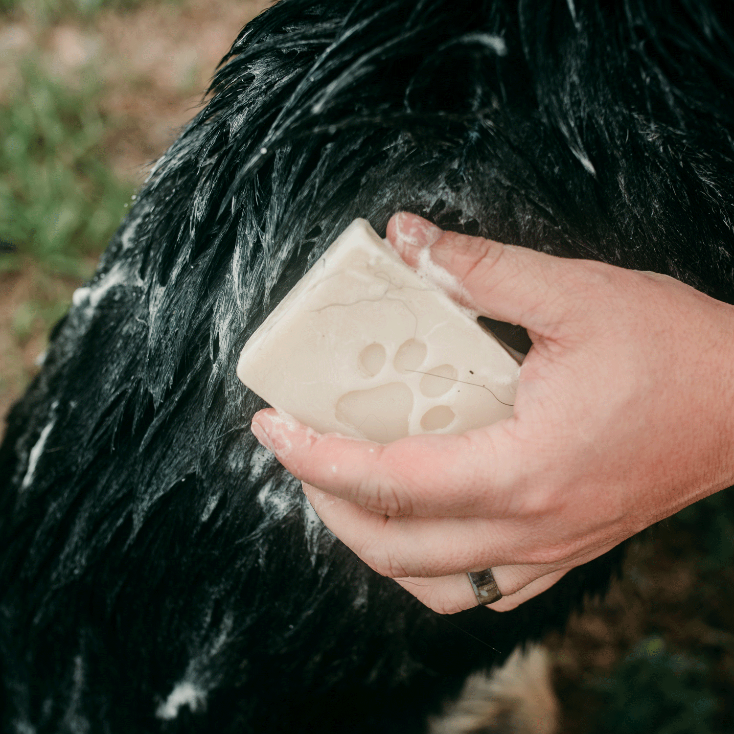 Brooklyn Made Natural Pet Shampoo Bar