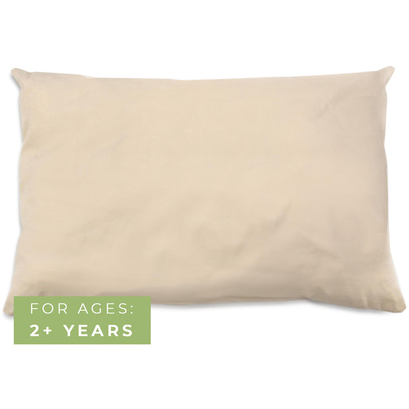 Organic Cotton Pillow