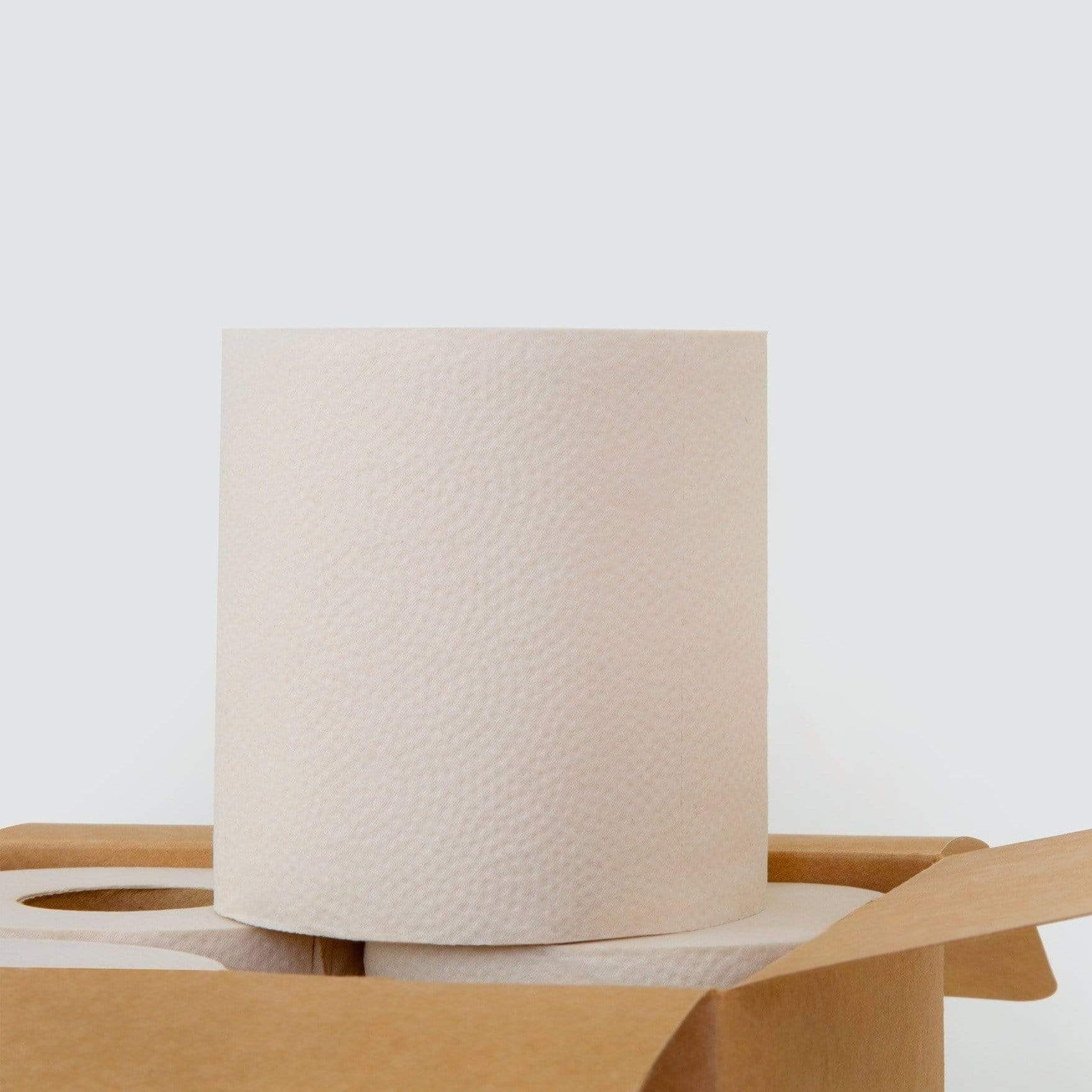 PlantPaper PlantPaper Bamboo 3 Ply Toilet Paper