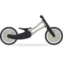 2-in-1 Recycled Toddler Bike