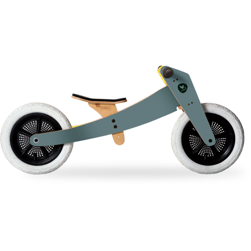 2-in-1 Toddler Bike