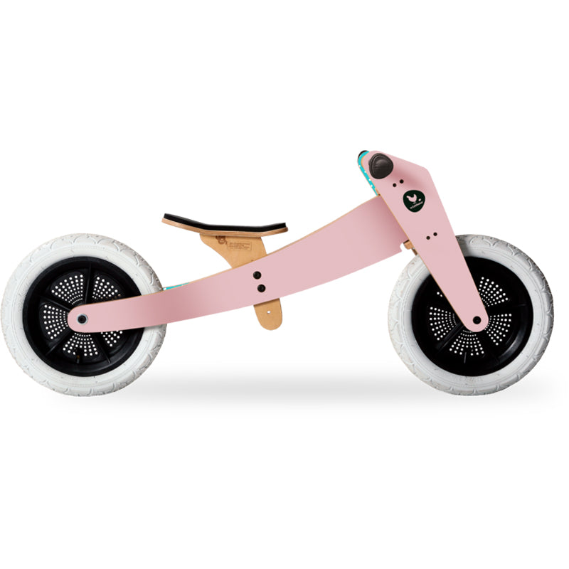 2-in-1 Toddler Bike